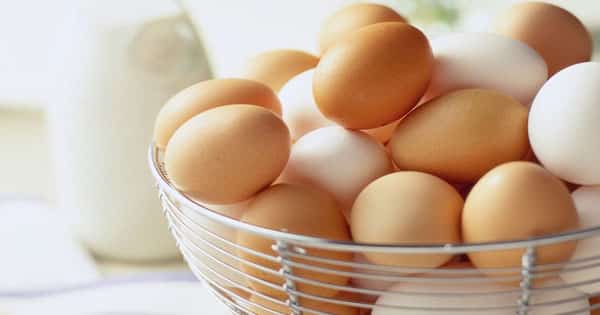 تفسير رؤية جمع البيض في المنام لابن سيرين | مقال