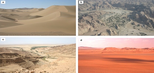 موضوع تعبير عن تعمير الصحراء بالاستشهادات
