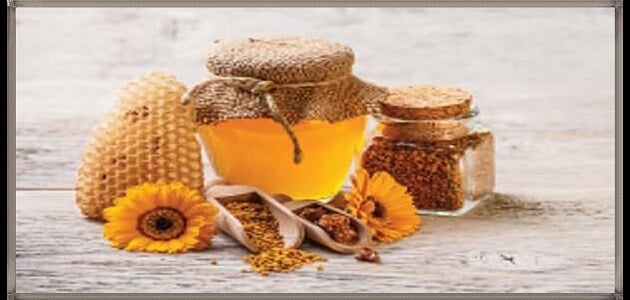 فوائد عسل الطلح للرجال