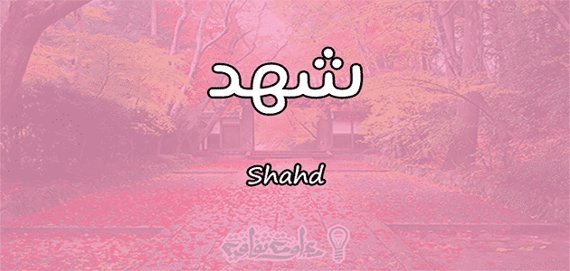 معنى اسم شهد Shahd وأسرار شخصيتها وصفاتها