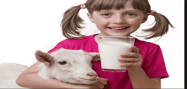 ما فوائد حليب الماعز للأطفال الرضع
