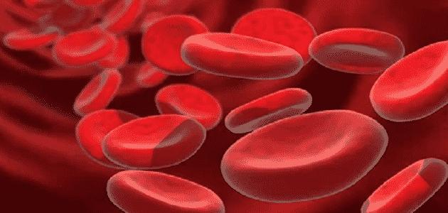 فقر الدم أسباب فقر الدم