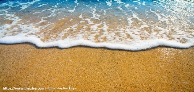 شروق الشمس المؤدي خيبة الأمل  ما هي فوائد ماء البحر للجسم - مقال