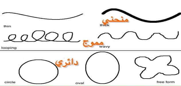 النوع ما النوع أنواع النوع النوع و والنوع المحدد الجاف هي و الجاف المحدد اللين العربي ؟ الخط اللين النوع الخط الإسلامي