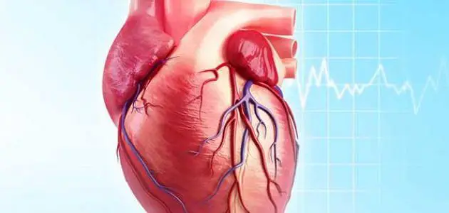 هل عملية القلب المفتوح تسبب الوفاة؟
