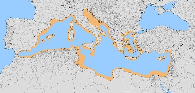 كم عدد الدول العربية التي تطل على البحر الأبيض المتوسط؟
