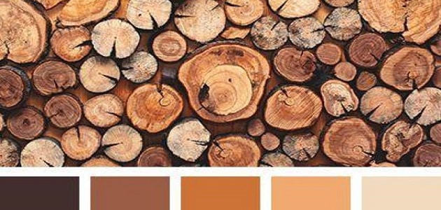 درجات اللون البني في الخشب | مقال