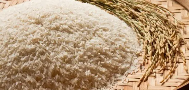 تفسير حلم الأرز غير المطبوخ