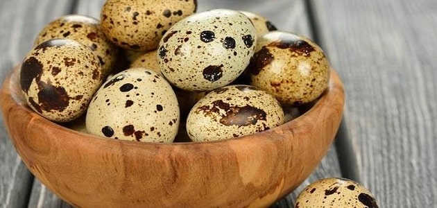 معالجة ‮ صاحبة ‬ ‮ البيت ‬ ‮ المؤجر ‬ حبوب  فوائد بيض السمان للرجال - مقال