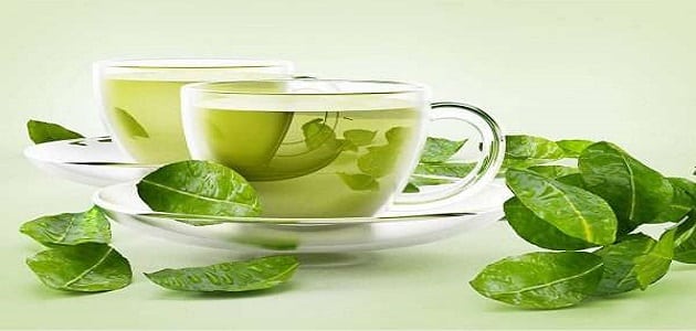 فوائد الشاي الأخضر للتنحيف مقال