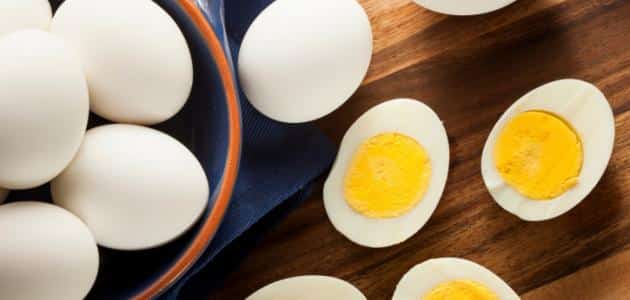 نسبة البروتين في البيض