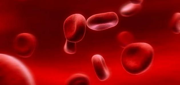كم لتر دم في جسم الإنسان