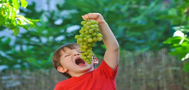 فوائد العنب للاطفال