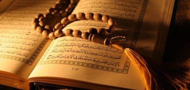 أفضل صوت في القرآن