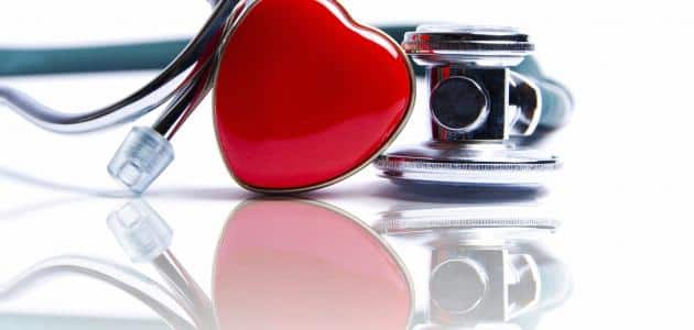المحافظة على القلب والأوعية الدموية