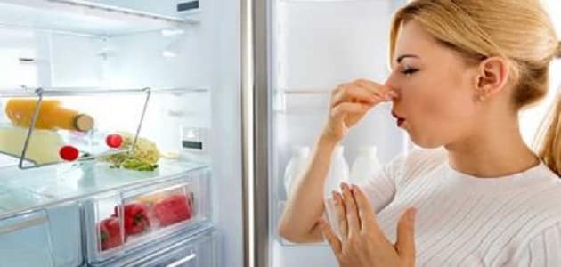كيف أزيل رائحة العفن من الثلاجة