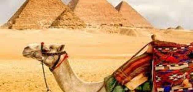 موضوع تعبير عن السياحة فى مصر