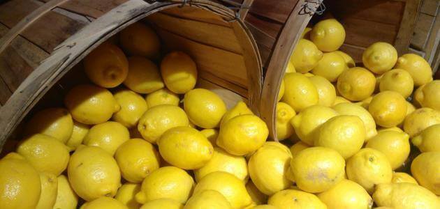 طريقة تخزين الليمون