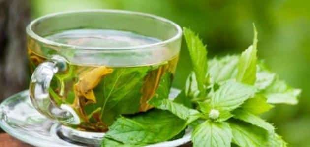 هل الشاي المغربي هو الشاي الأخضر