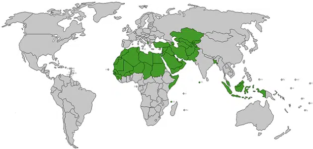 ترتيب الدول من حيث عدد المسلمين