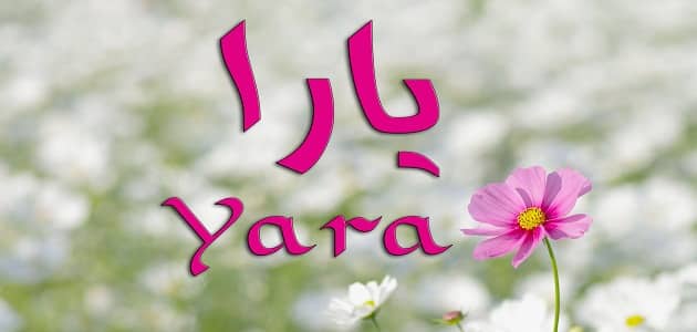 معنى اسم يارا في الإسلام