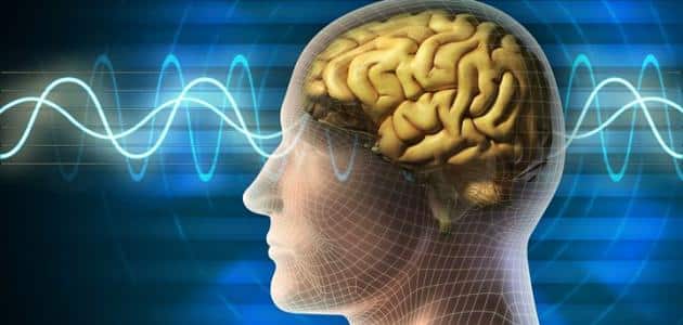 أعراض كهرباء المخ عند الكبار
