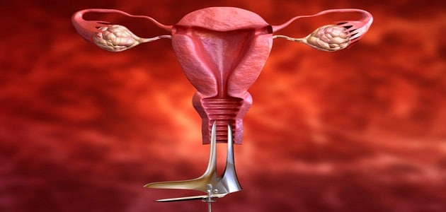 نزول عنق الرحم من علامات الحمل