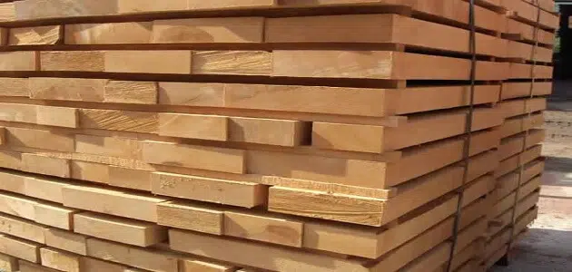 أنواع خشب الزان