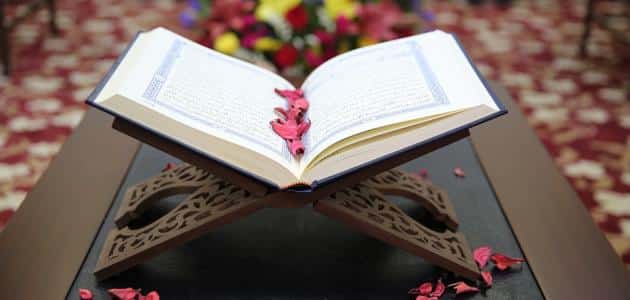 الأخلاق السيئة وعلاجها في ضوء القرآن