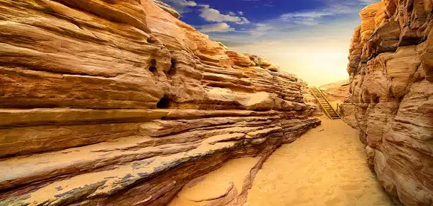 شبه جزيرة سيناء