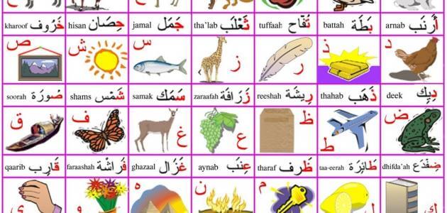 تعلم الحروف العربية